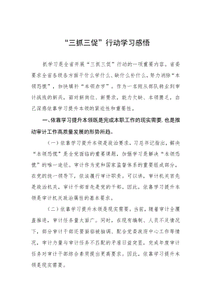 2023三抓三动心得体会三篇范文.docx
