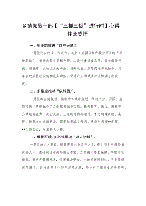 乡镇党员干部【“三抓三促”进行时】心得体会感悟(通用三篇).docx