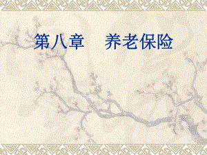 养老保险制度概述.ppt