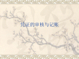 会计电算化3凭证的审核与记账.ppt