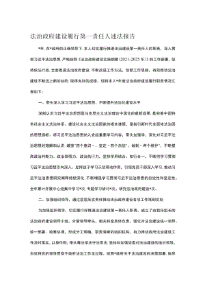 法治政府建设履行第一责任人述法报告.docx