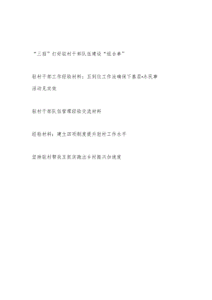 2023驻村干部队伍管理工作经验交流材料5篇.docx