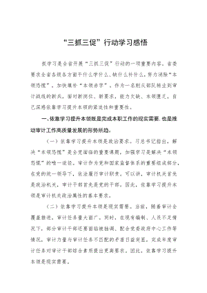 “三抓三促”行动心得体会三篇模板.docx
