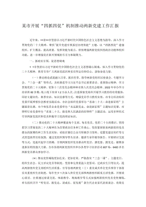 某市开展“四抓四促”机制推动两新党建工作汇报.docx