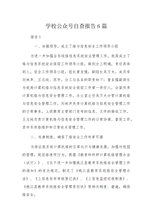 学校公众号自查报告6篇.docx