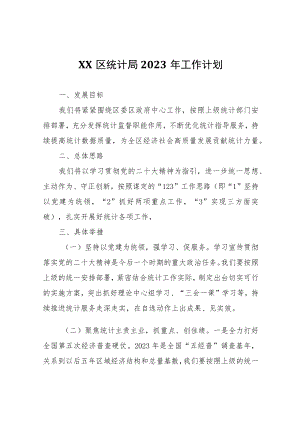 XX区统计局2023年工作计划.docx