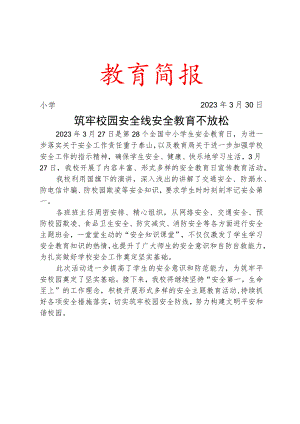 开展第28个全国中小学生安全教育日和第8个全民国家安全教育日宣传教育活动简报.docx