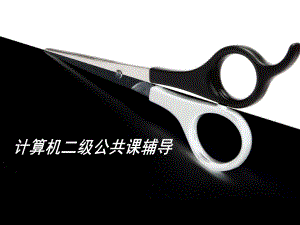 公共基础知识重点内容.ppt