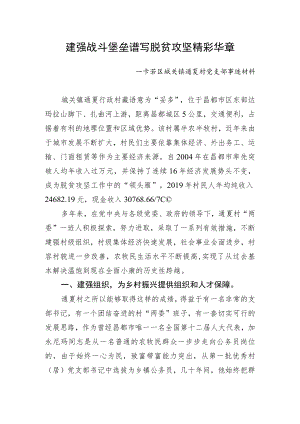 村党支部先进事迹材料 .docx