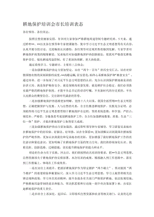 耕地保护培训会市长培训表态.docx