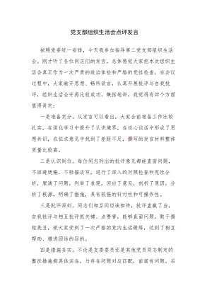 党支部组织生活会点评发言.docx