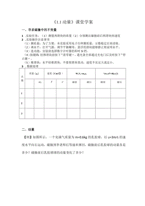 《动量》课堂学案.docx
