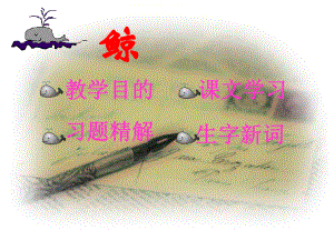 第九课课件鲸精品教育.ppt