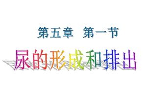 第五章第1节尿的形成和排出2精品教育.ppt