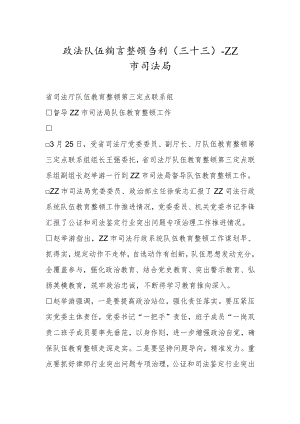 政法队伍教育整顿专刊（三十三）.docx