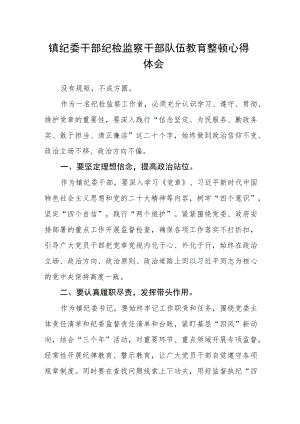 镇纪委干部纪检监察干部队伍教育整顿心得体会.docx