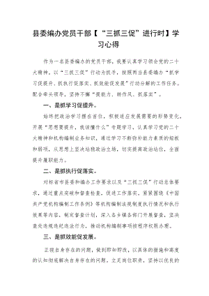 县委编办党员干部【“三抓三促”进行时】学习心得.docx