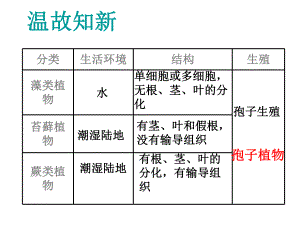 第二节种子植物 精品教育.ppt