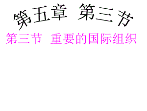 第五章第三节重要的国际组织配套课件 精品教育.ppt