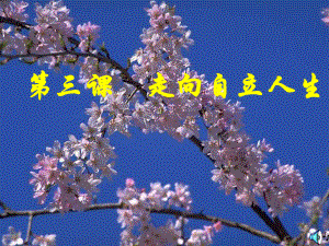 第三课走向自立人生精品教育.ppt