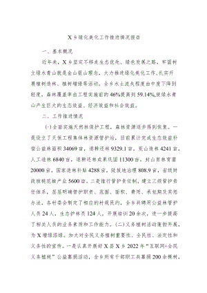 X乡绿化美化工作推进情况报告.docx