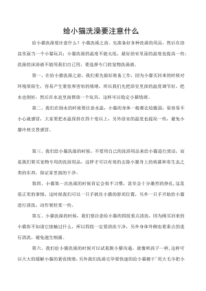 给小猫洗澡要注意什么.docx