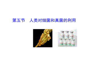 第五节人类对细菌和真菌的利用 精品教育.ppt