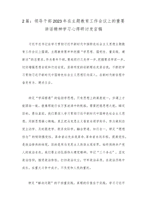 2篇：领导干部2023年在主题教育工作会议上的重要讲话精神学习心得研讨发言稿.docx