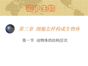 第二单元第三章第一节　动物体的结构层次2精品教育.ppt