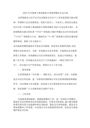 2023年交通运输部门开展重大事故隐患排查整治行动实施方案 （汇编4份）.docx