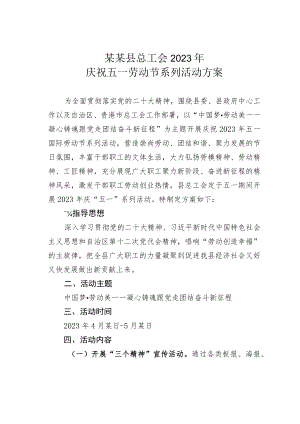 某某县总工会2023年庆祝五一劳动节系列活动方案.docx