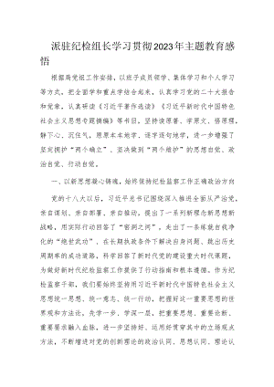派驻纪检组长学习贯彻2023年主题教育感悟.docx