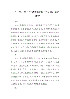 【“三抓三促”行动进行时】校长学习心得体会三篇.docx