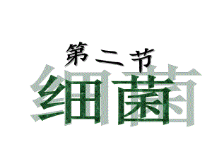 第二节细菌富源县第六中学侯汝翠精品教育.ppt