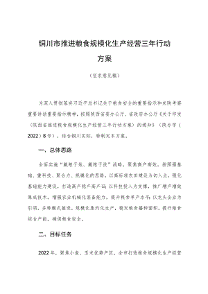 铜川市推进粮食规模化生产经营三年行动方案.docx