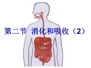 第二节消化和吸收精品教育.ppt