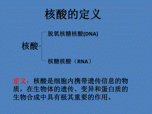 第三节遗传信息的携带者——核酸精品教育.ppt