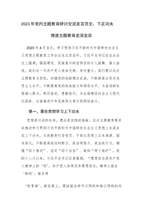 2023年党内主题教育研讨交流发言范文：下足功夫 推进主题教育走深走实.docx
