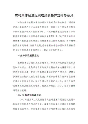 农村集体经济组织成员资格界定指导意见.docx