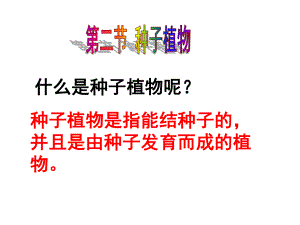 第二节种子植物1精品教育.ppt