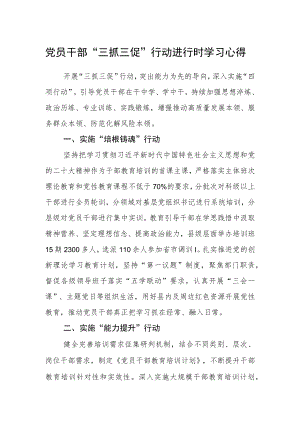 党员干部“三抓三促”行动进行时学习心得.docx
