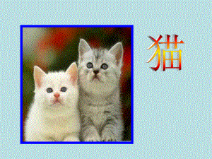 第五单元第17课猫课件1精品教育.ppt