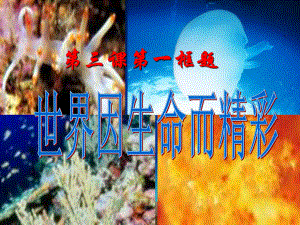第三课第一框世界因生命而精彩精品教育.ppt