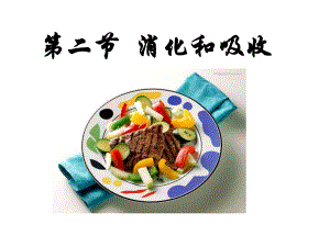 第二章第二节消化和吸收精品教育.ppt