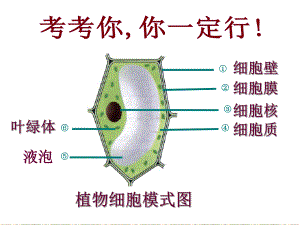第四节细胞的生活精品教育.ppt