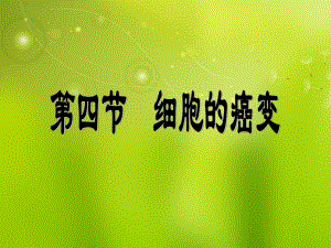 第四节细胞的癌变精品教育.ppt