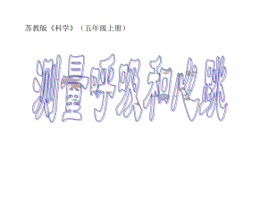 董娅贤测量呼吸和心跳课件精品教育.ppt