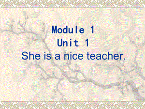 第四册Lesson1第一课时精品教育.ppt