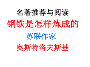 钢铁是怎样炼成的33张PPT精品教育.ppt