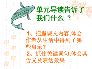 钓鱼的启示ppt 精品教育.ppt